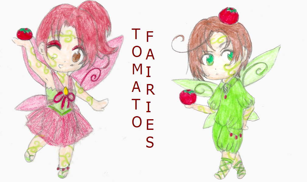 Tomato Fairies