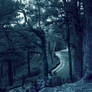Lonely Road