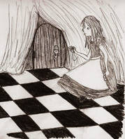 Alice and the Door