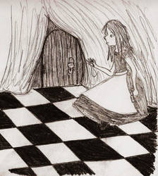 Alice and the Door