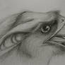 Gryphon Portrait