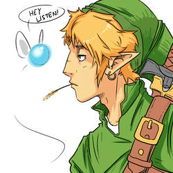 Link and Navi