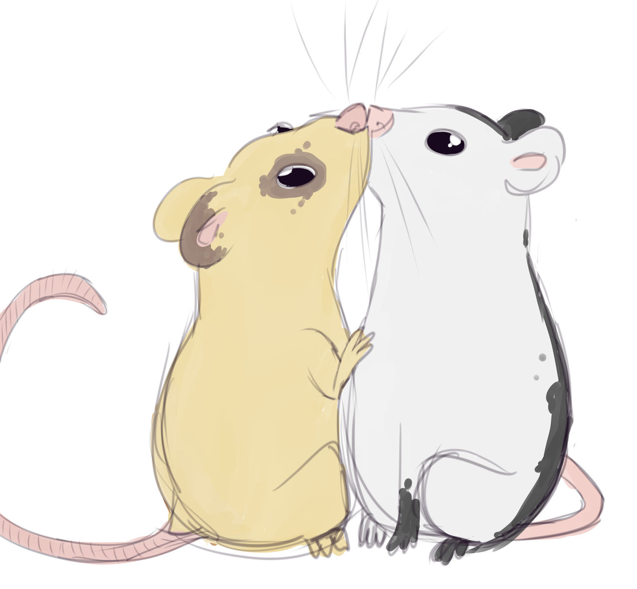 Kissing rats by Scaa1 on DeviantArt
