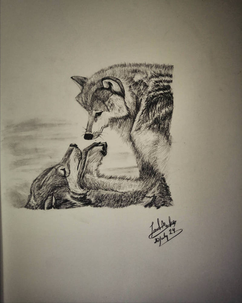 Two wolves by Lone141mekro on DeviantArt