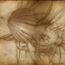 Airship