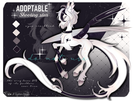 Adoptable auction [closed]