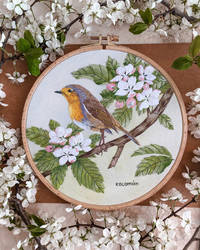 Spring robin bird embroidery