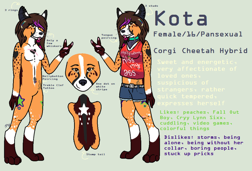 Kota Ref Sheet