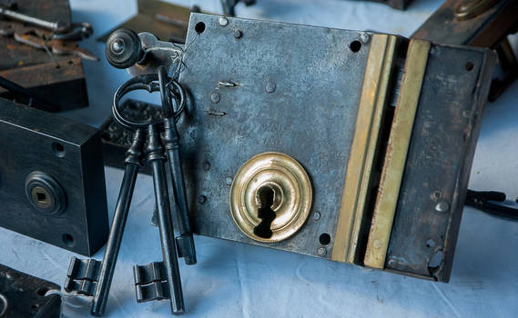Professional locksmith service for your security