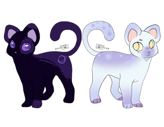 OTA COLLAB ADOPTS!