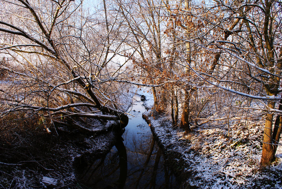Czechowka River 1
