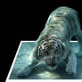Tiger underwater 3D Image - Photoshop - Pop-out