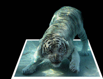 Tiger underwater 3D Image - Photoshop - Pop-out