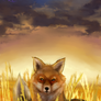 The Tamed Fox