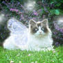 Cat Fairy Queen