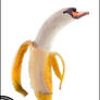Swanana milkshake anyone ?