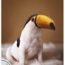 Toucan play that way...