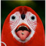 Aaaaaaaaaaah