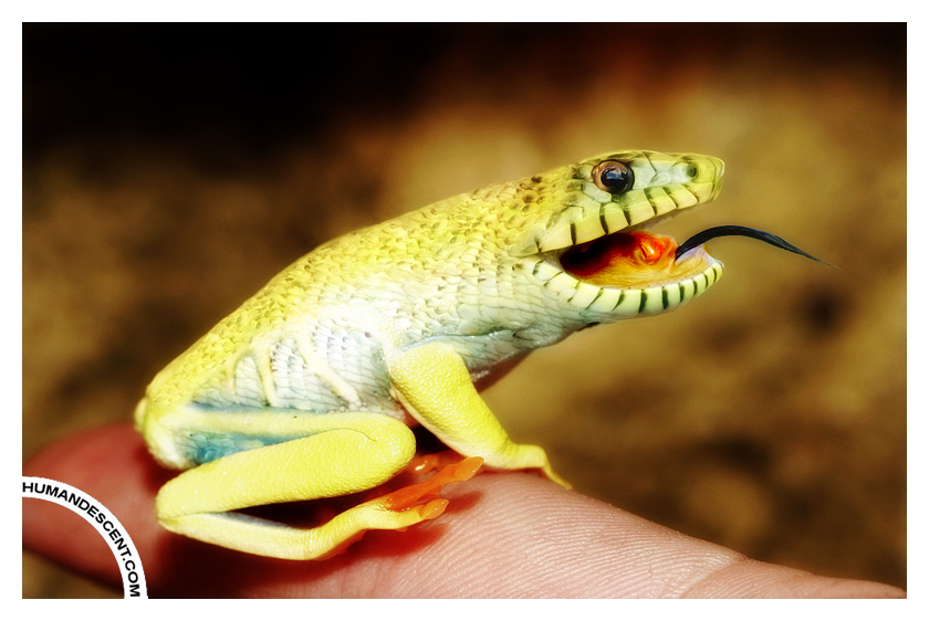 Fred the Frake by HumanDescent