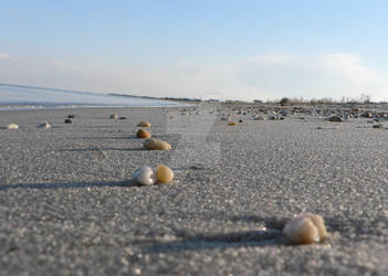 Slaughter Beach Pebbles