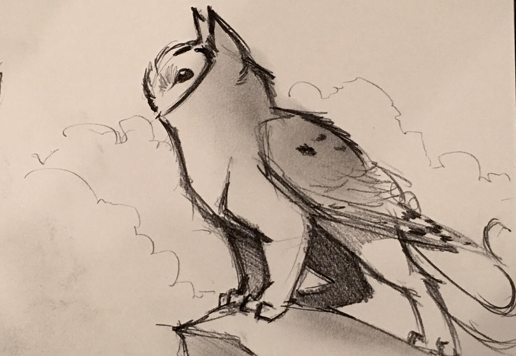 Owl Griffin Doodle