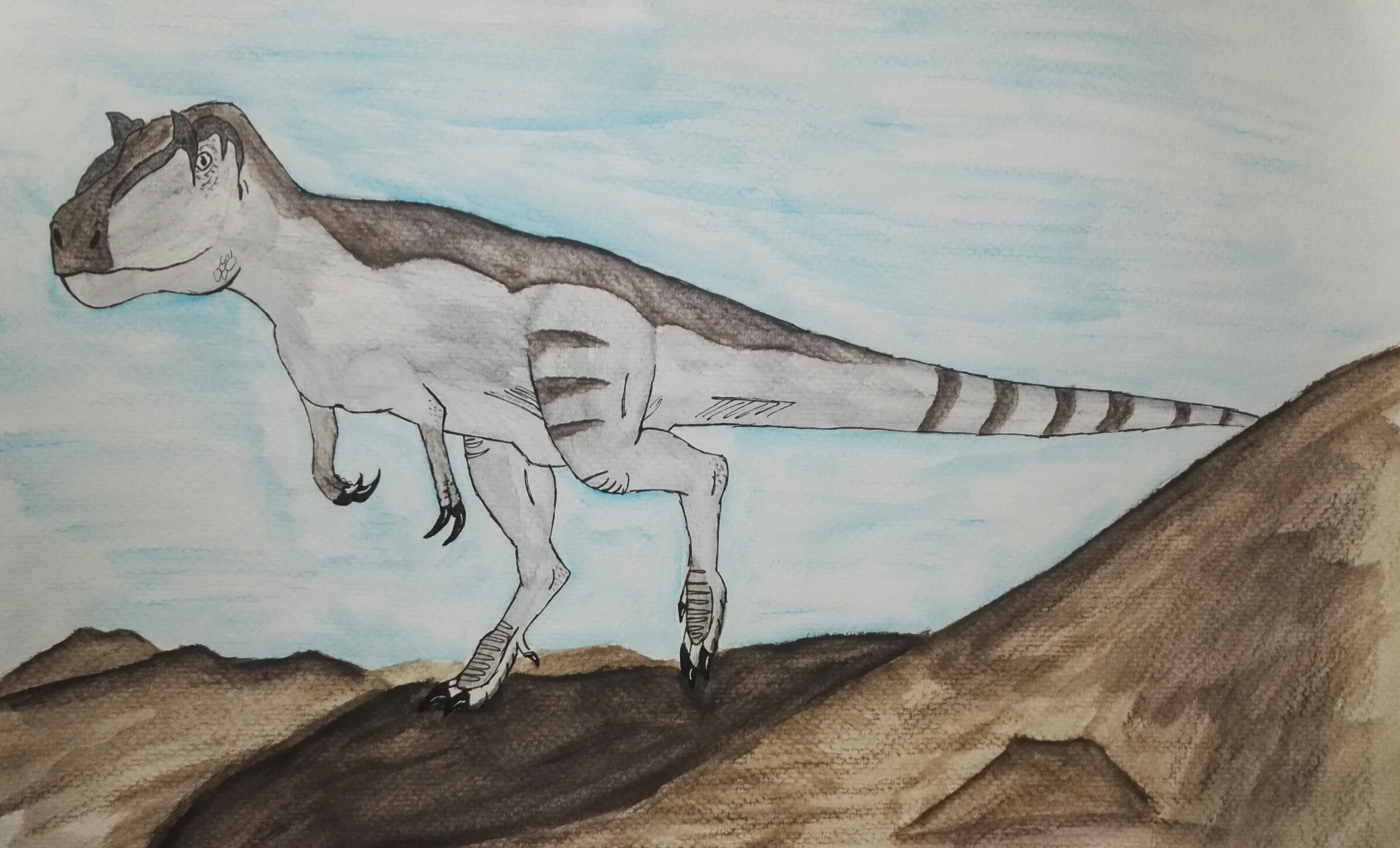 Gorgosaurus by Spinosaur935 on DeviantArt