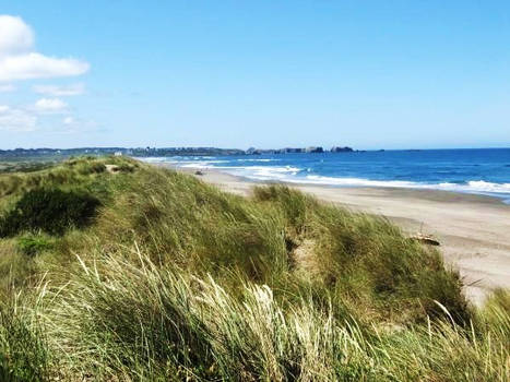 bandon beach time