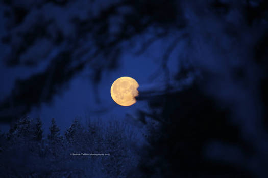 Cold Winter Moon IV