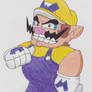 Wario Time