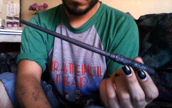 The wand of Severus Snape.