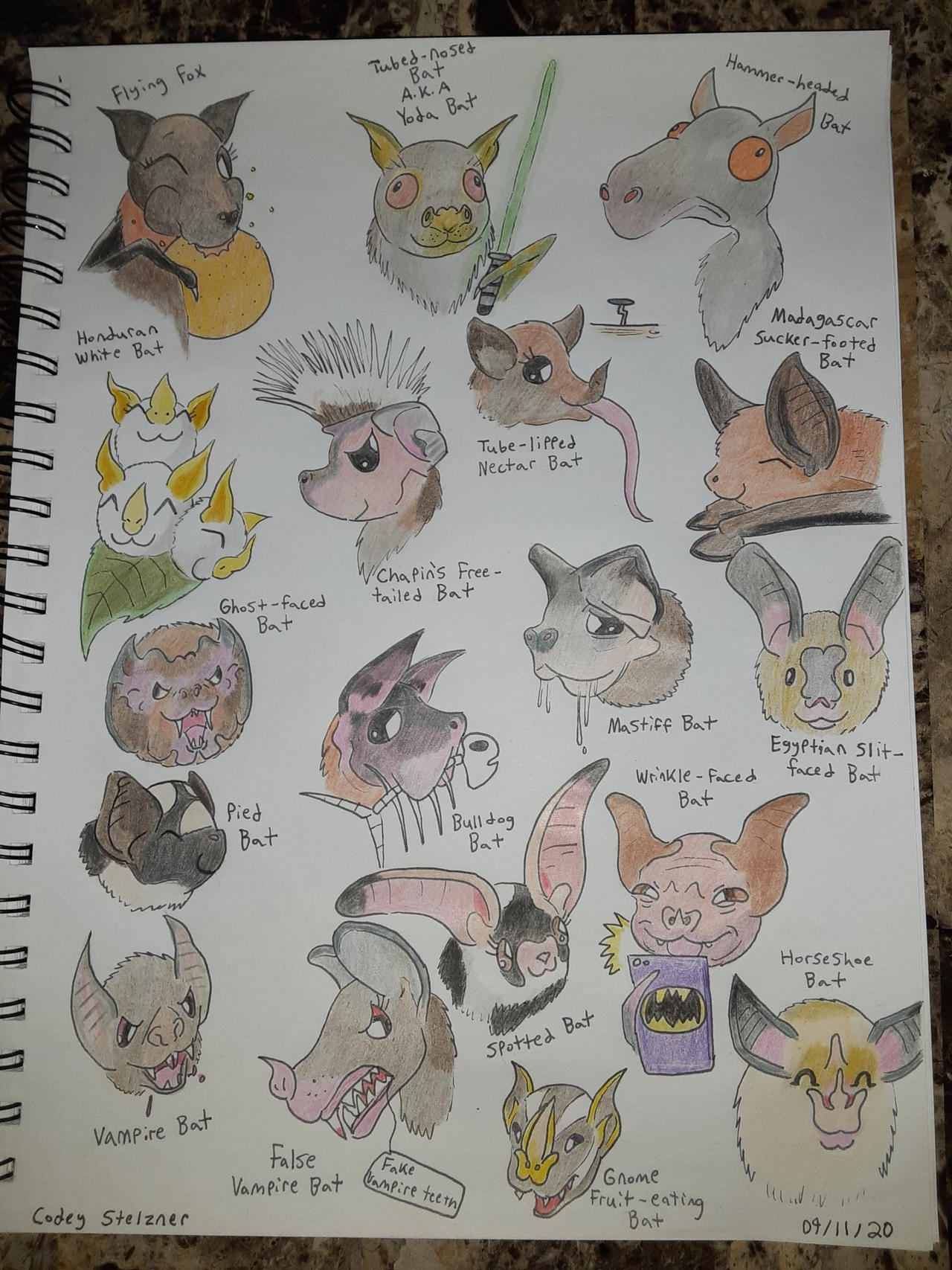 Bats Sketchbook Drawing