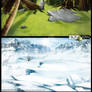 GameBKG