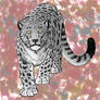 Leopardo
