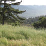 Vista point on Highway 101 near Half Moon Bay, CA