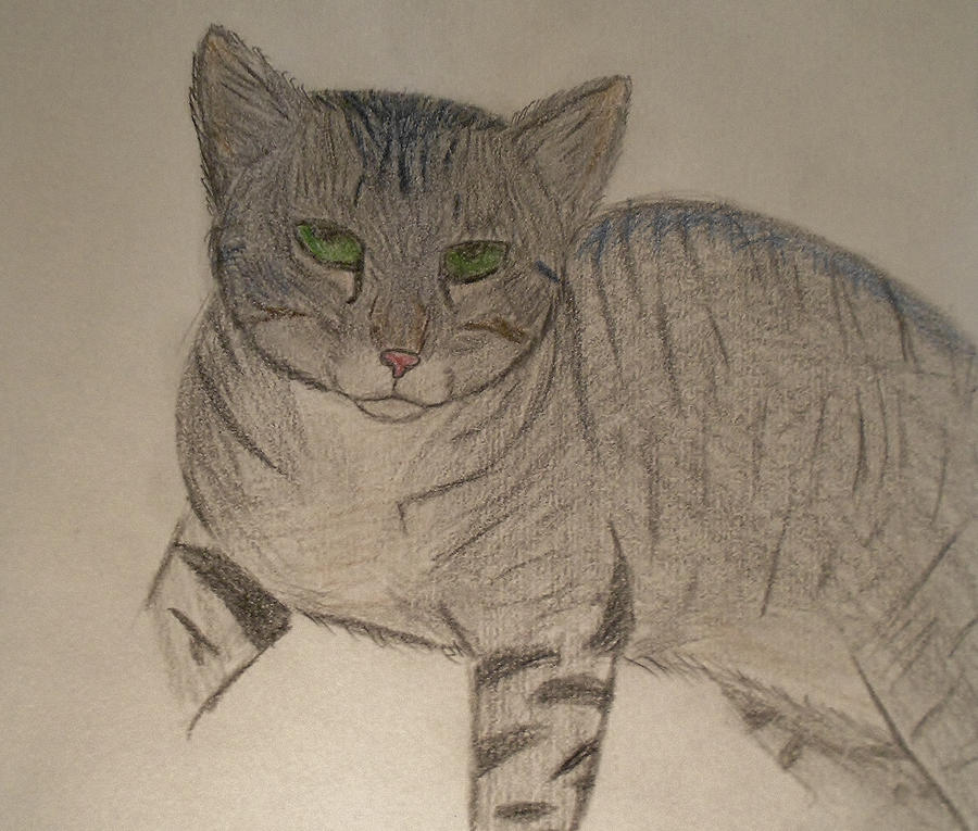 Cat By Devinsummers On Deviantart Cat By Devinsummers On Deviantart