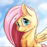 Fluttershy