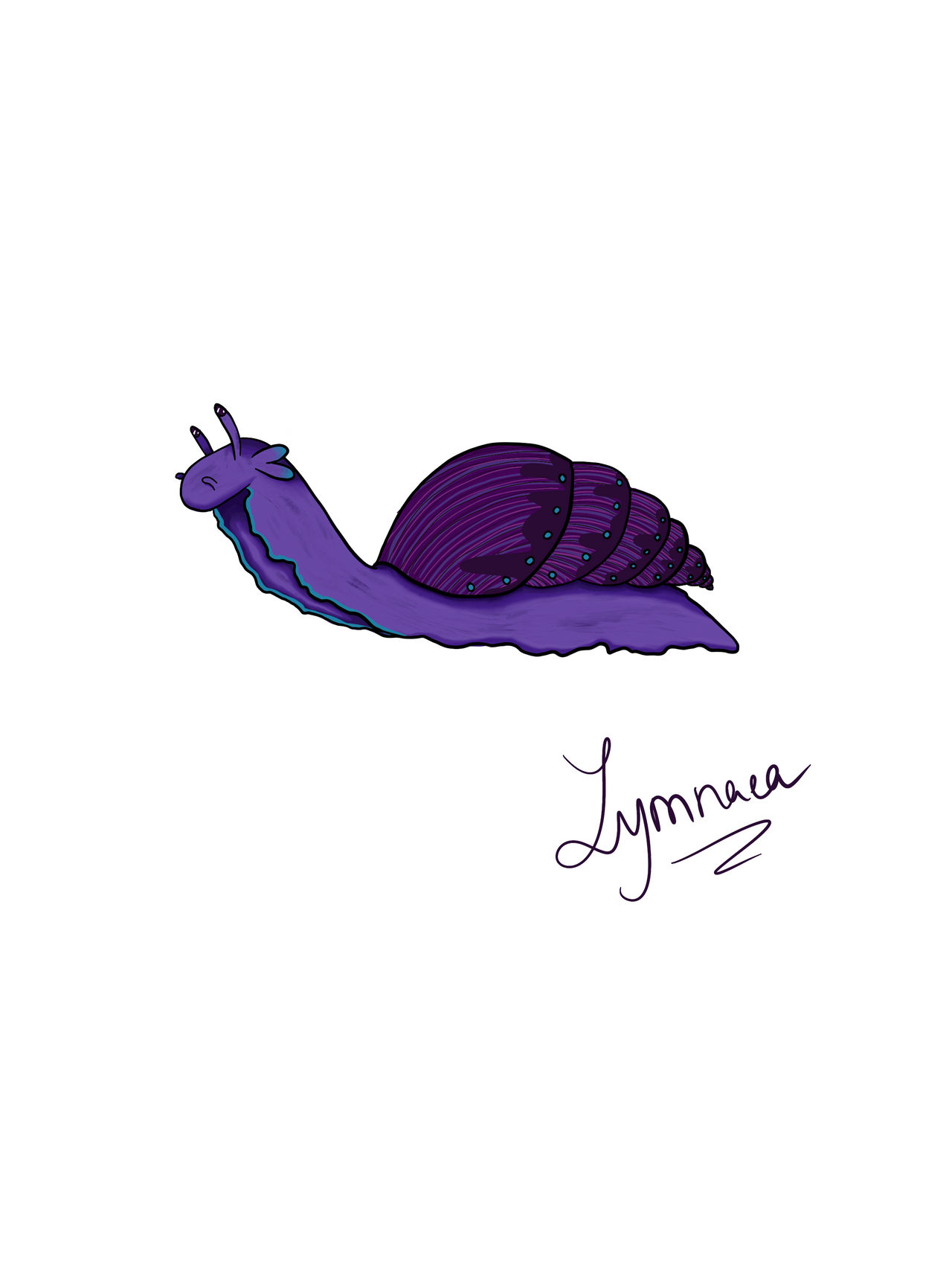Lymnaea by Margitude on DeviantArt