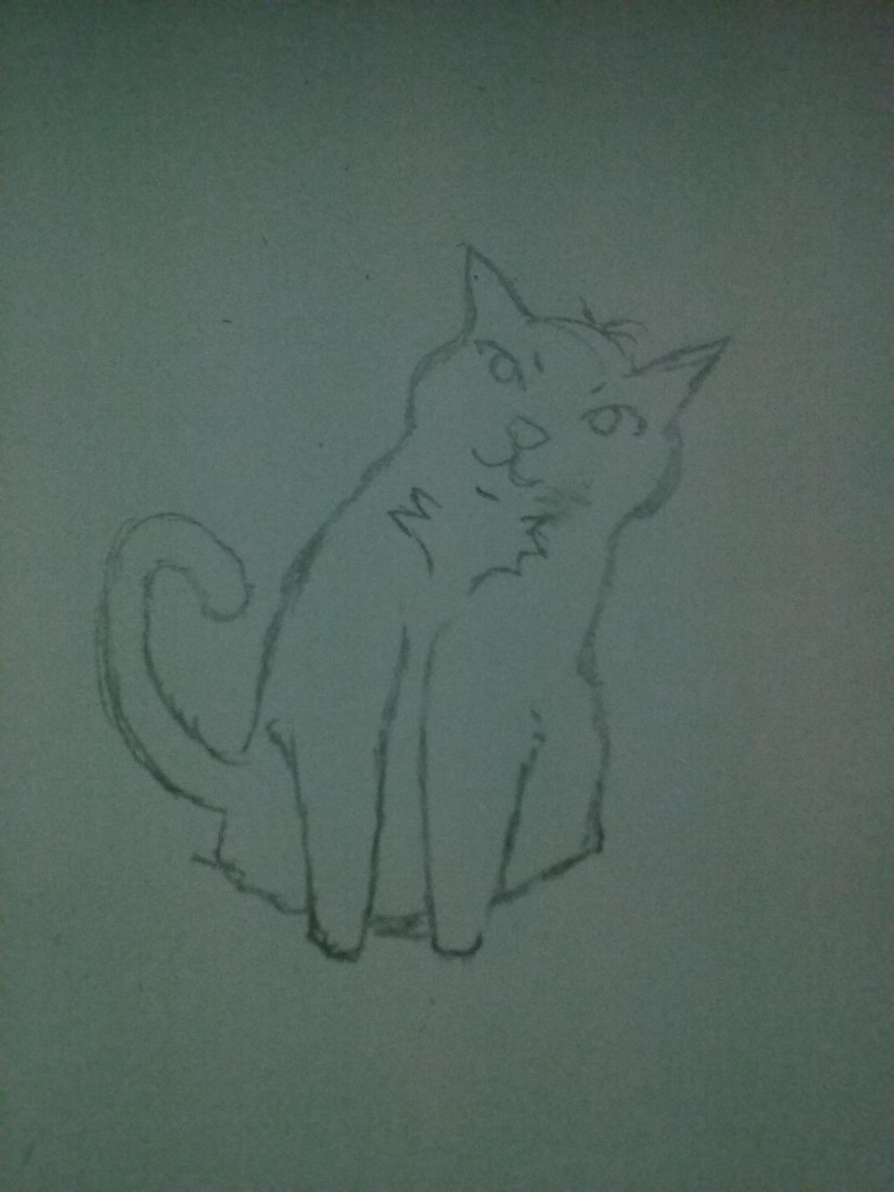 A Cat Doddle