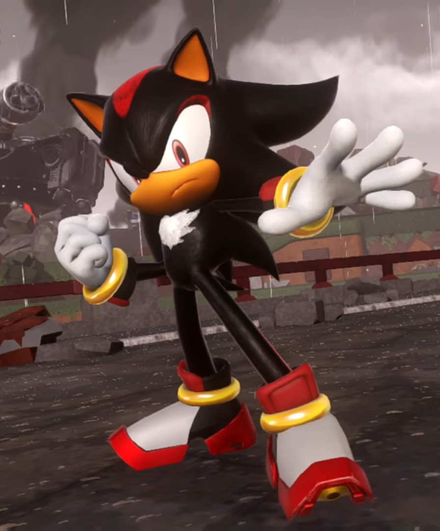 Shadow Game Pose2