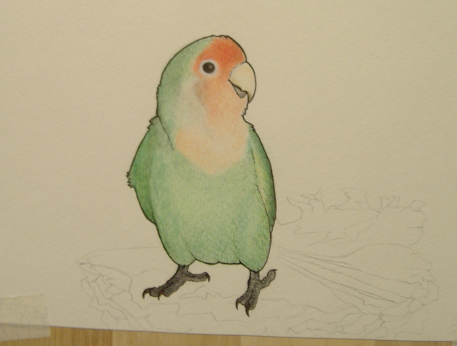 WIP Lovebird