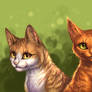 Leafpool and Squirrelflight