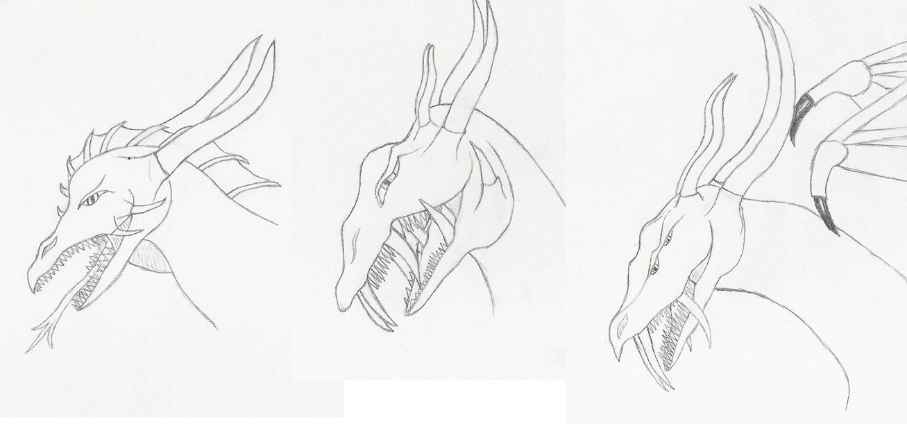 Dragon heads by Jake-Kelton on DeviantArt