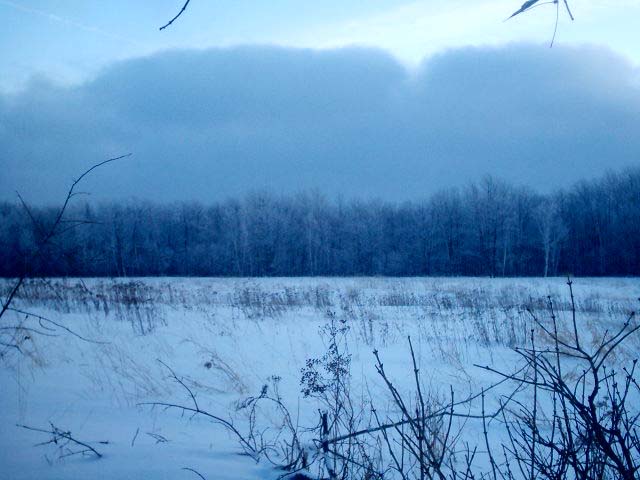 picture of my field...dark