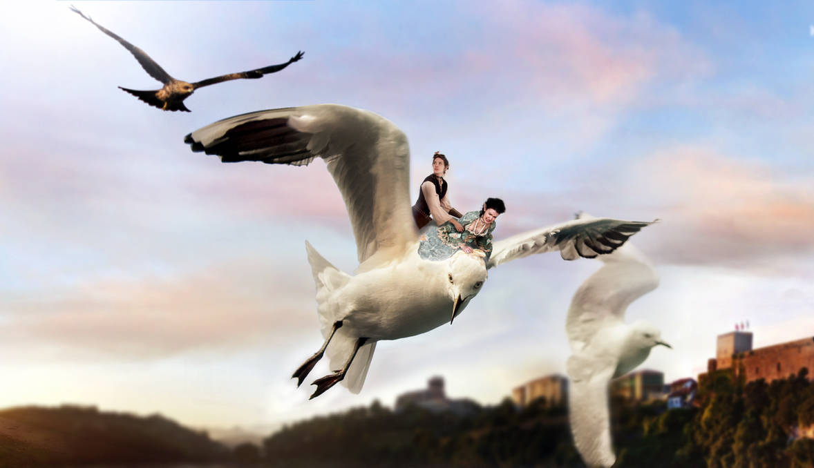 Полет птицы и полет человека. Человек на летающей птице. Верхом на птице. Девушка верхом на птице. Человек верхом на птице.