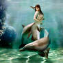 Mermaid Princess dolphin