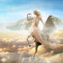 Pegaso heavenly Angel sunrise