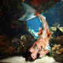Sirenita Little mermaid by Almudena