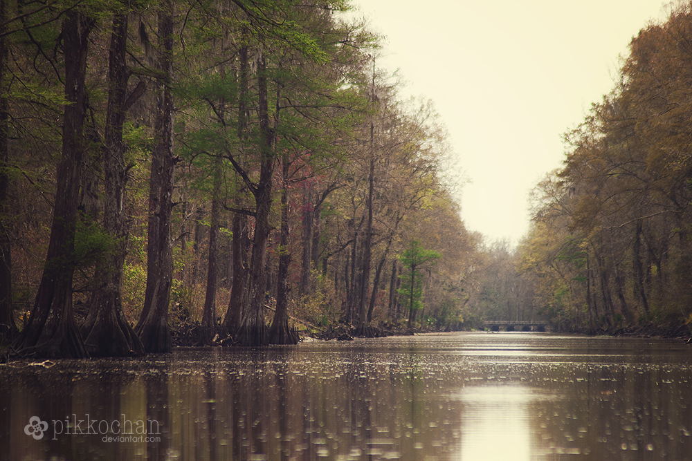 Cypress Canal