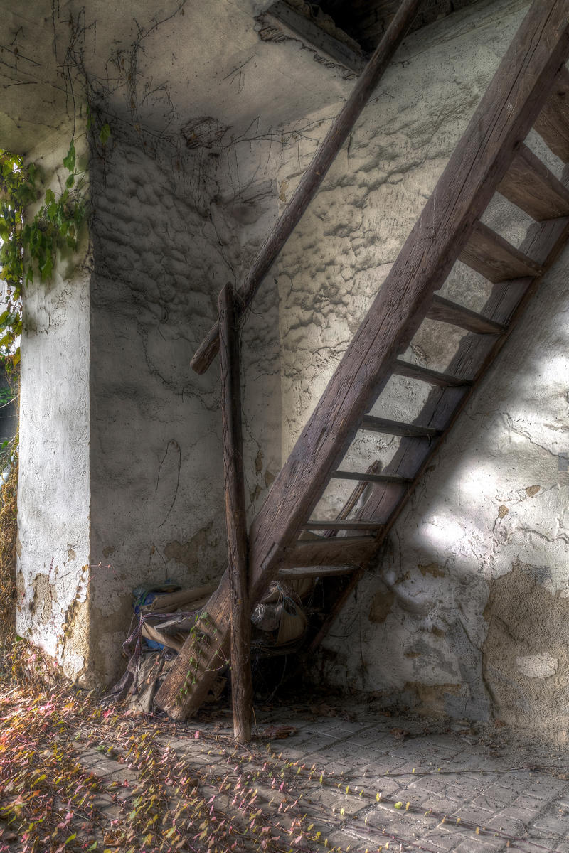 Loft Ladder