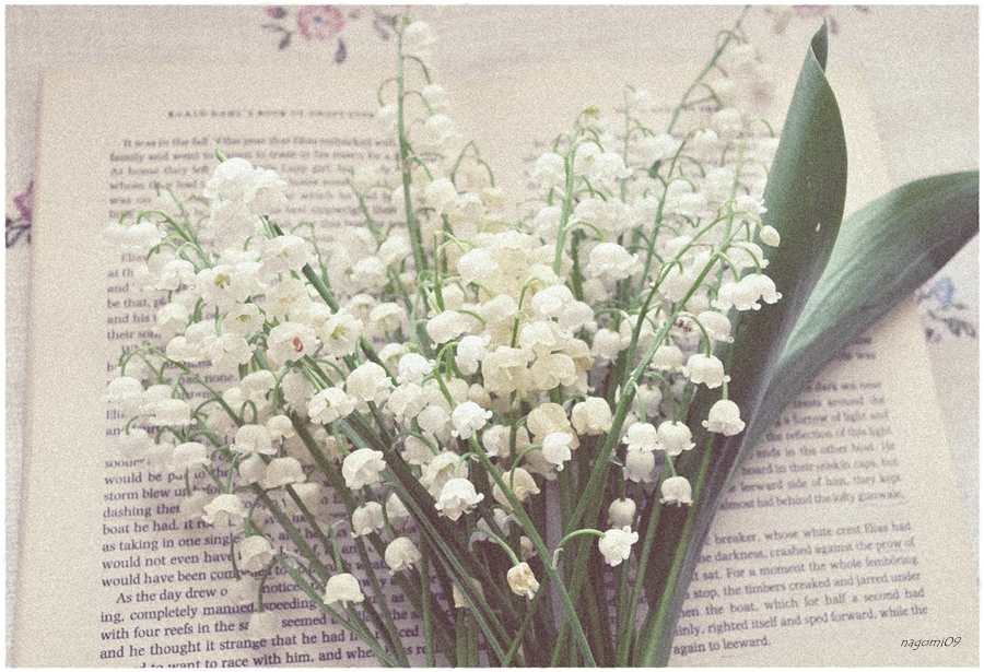 Lily of the Valley